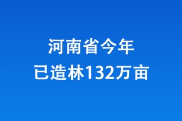 河南省今年已造林132万亩