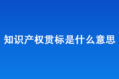 知识产权贯标有什么用