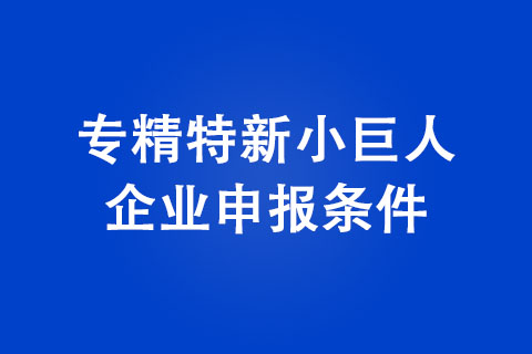 2022年郑州市专精特新小巨人企业申报条件