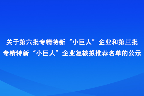 河南省专精特新“小巨人”企业